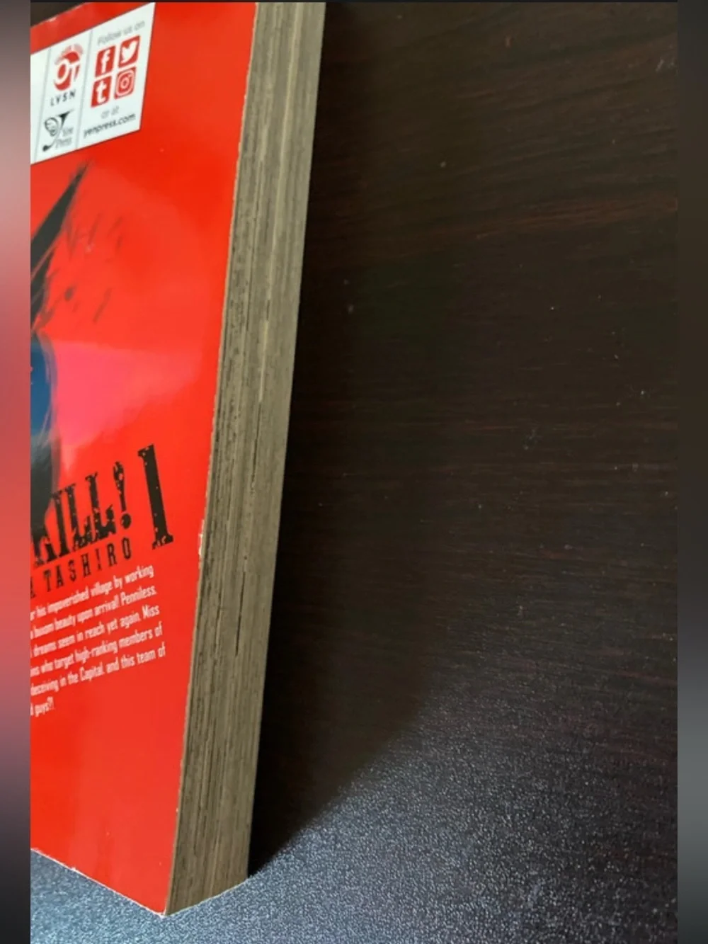 Akame ga Kill! Vol. 1 Manga - Striking Red & Black Cover